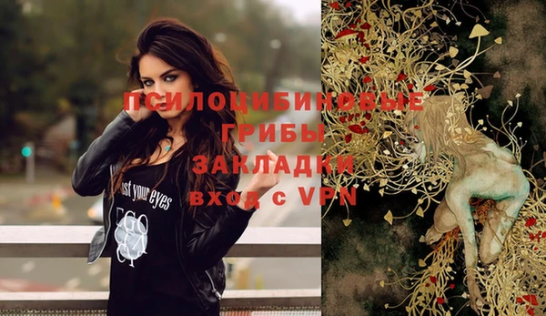 первитин Верхний Тагил